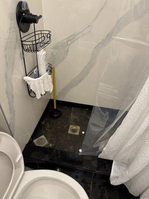 Fecal matter coming up from shower drain