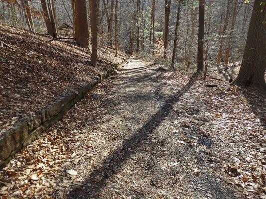 Trail to Blue Brook