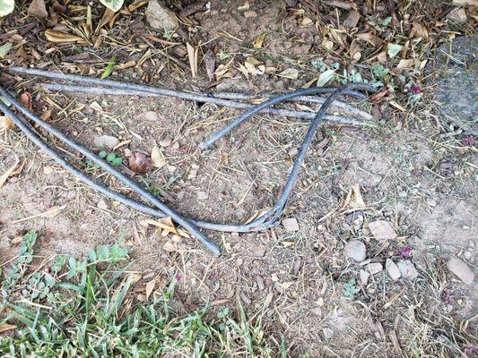 Reported these drip irrigation lines they ran over with a mower!!! Never fixed!!!  I hand water some shrubs just to keep them alive!!!