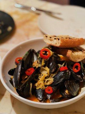 steamed mussels