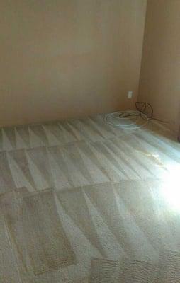 Our client said we there carpet was left Fresh Clean and felt great!