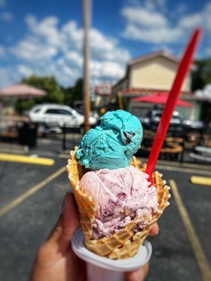 Cookie Monster / Blueberry Cheesecake