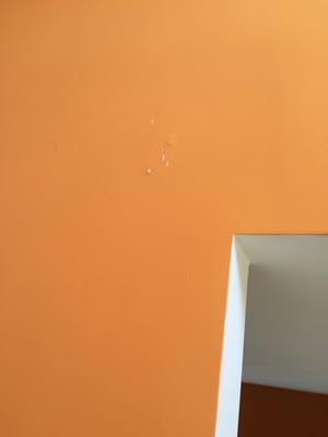 The damage these so called movers did to my newly painted wall.