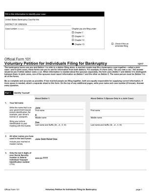 Chapter 13 Voluntary Bankruptcy Petition