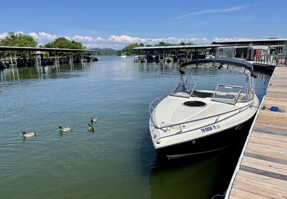 Dock for restaurant