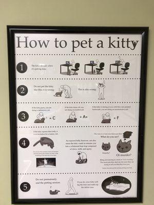 "How to Pet a Kitty"