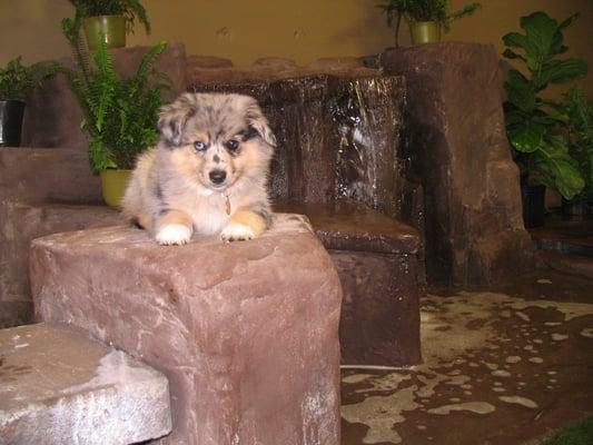 Relaxing by the waterfall