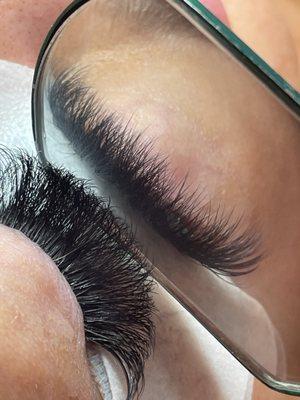 Volume Lashes