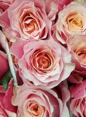 Nordlie Tampa is the premier provider of roses at Valentine's Day and Mother's Day