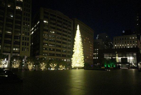 Christmas decorations & spectacular tree in the plaza of the historic BofA building at 555 California Street (FiDi)