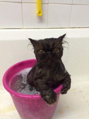 What do you mean we ran out of hot water!