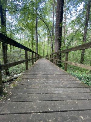 The boardwalk could definitely use some love and care. Several repairs have been made but we were still cautious.