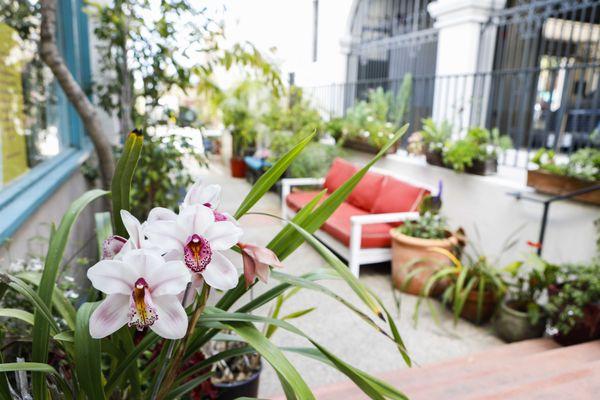 Garden patio