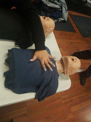 CPR Dummies