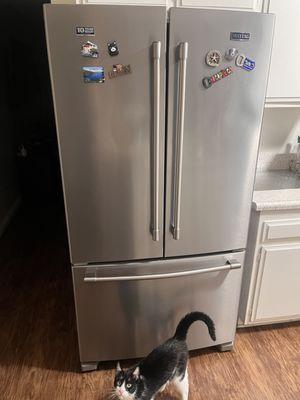 Maytag Stainless Counter Depth French Door Refrigerator