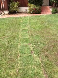 As you can see, it is important for us to put your lawn back as close to what it looked like before the problem occurred.