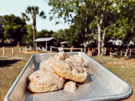 Biscuits and Gravy!