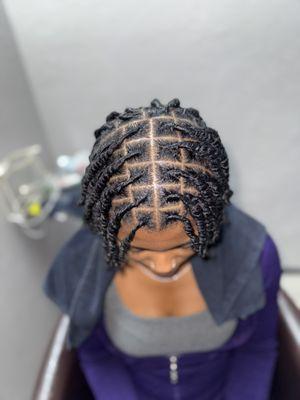 Starter Locs