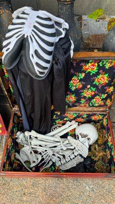 Skeleton in vintage chest for sale lol