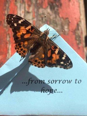 Butterfly Release for Child Loss