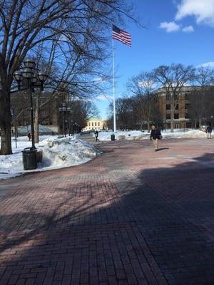 The Diag in February