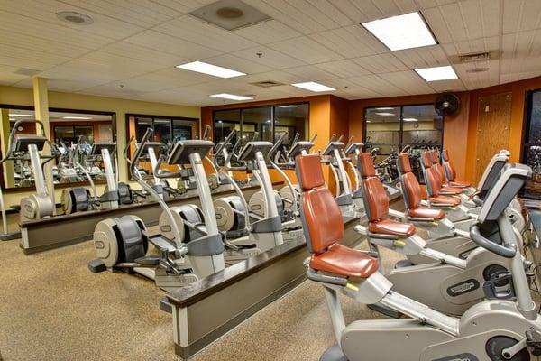 Cardio Equipment