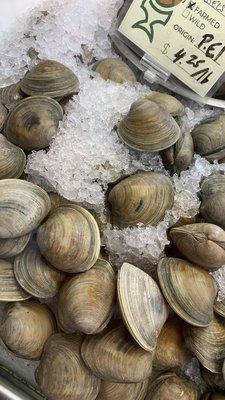 Shellfish display