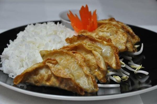 Pot sticker with rice $5.00