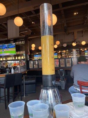 Mimosa Tower