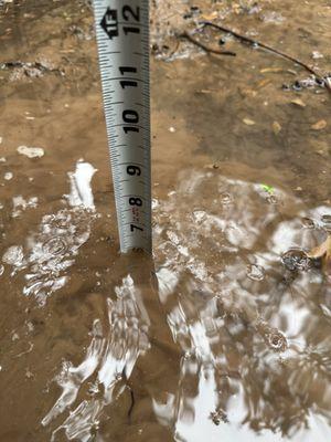 Standing water on several different times after French drain was installed. Sent him these pictures and he never responded.