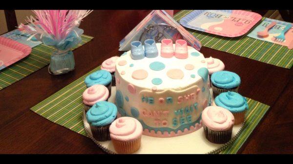 Gender Reveal Cake 2014