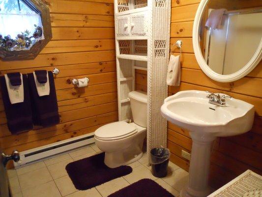 bathroom in Wild Rose cabin