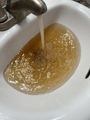 Brown water out of the sink, lovely