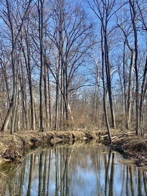 The creek side