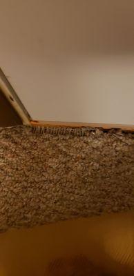 Torn up carpet in front of the door