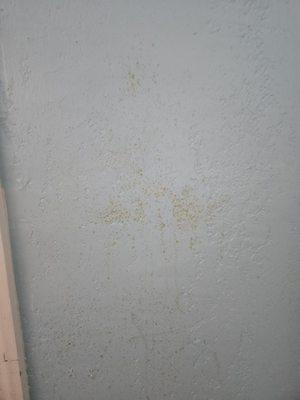 Another dirty Wall