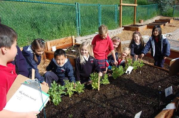 Class time in the LACS garden.