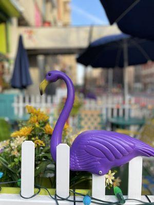 Purple flamingo