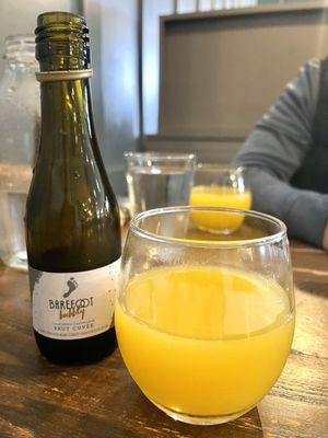 Mimosa