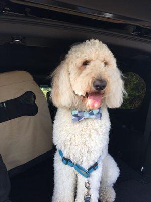 This is a photo of how he looked before his groom