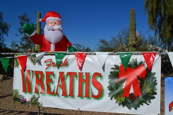 Menifee California Valley View Christmas Trees