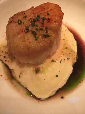 Seared scallops and mash potatoes