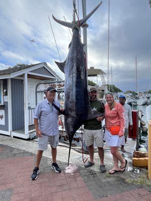 Pacific Blue Marlin