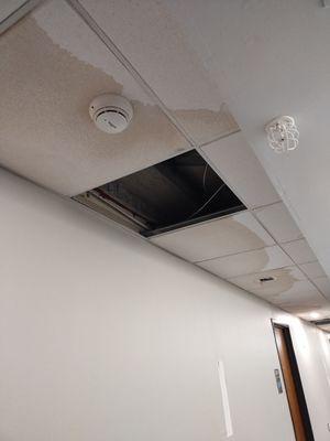 Water damage, missing ceiling boards. Looks like this all over the complex