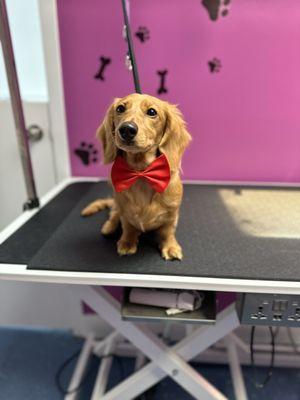 Parker's first groom