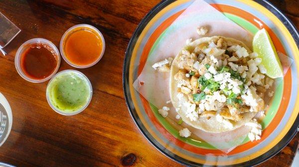 Taco de Pollo! Featuring our salsas, toppings and decorative dish-wear.