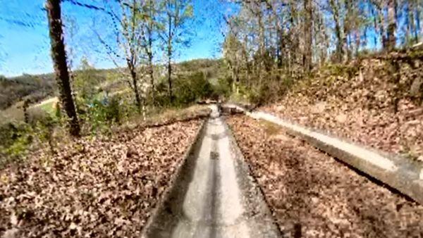 Alpine slide