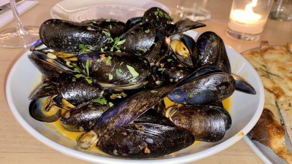 Mussels