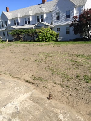 New lawn install due to damage from cars driving on lawn.