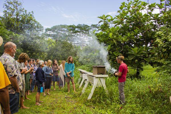 Plant Aloha, a FREE permaculture educational series every Thursday from 9:00am-12:30pm.